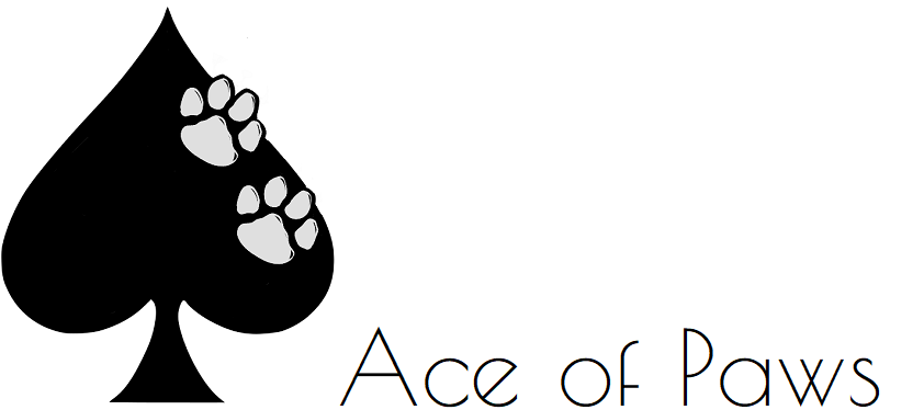 Ace of Paws